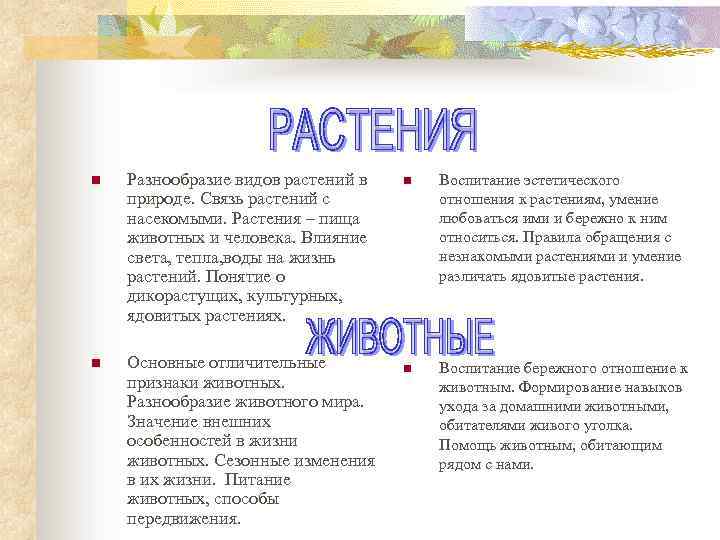 n Разнообразие видов растений в природе. Связь растений с насекомыми. Растения – пища животных