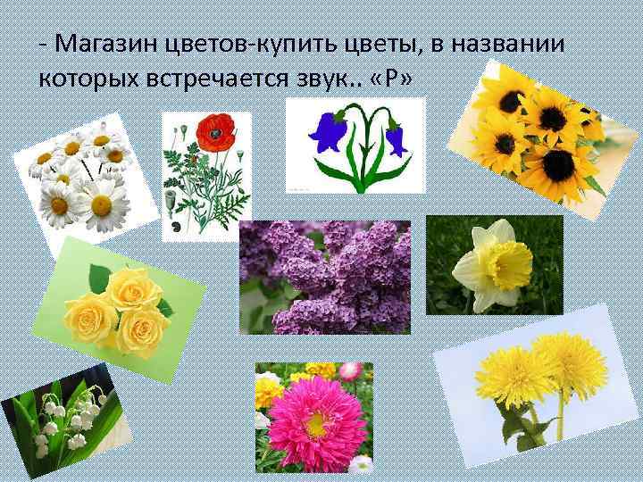 - Магазин цветов-купить цветы, в названии которых встречается звук. . «Р» 