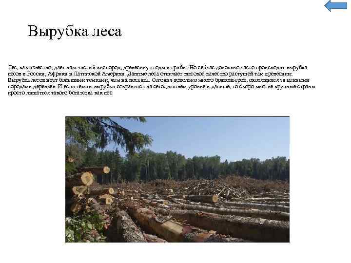 Вырубка леса Лес, как известно, дает нам чистый кислород, древесину ягоды и грибы. Но