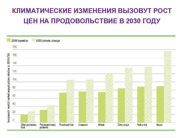 КЛИМАТИЧЕСКИЕ ИЗМЕНЕНИЯ ВЫЗОВУТ РОСТ ЦЕН НА ПРОДОВОЛЬСТВИЕ В 2030 ГОДУ 