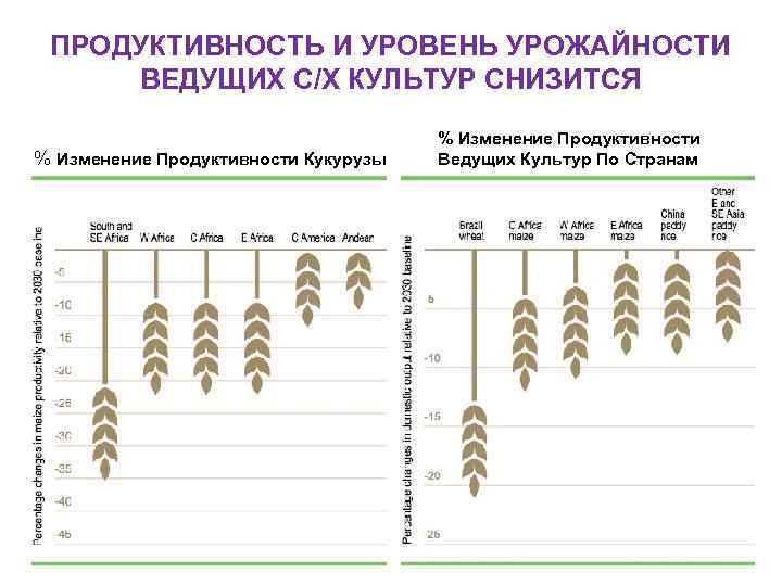 ПРОДУКТИВНОСТЬ И УРОВЕНЬ УРОЖАЙНОСТИ ВЕДУЩИХ С/Х КУЛЬТУР СНИЗИТСЯ % Изменение Продуктивности Кукурузы % Изменение