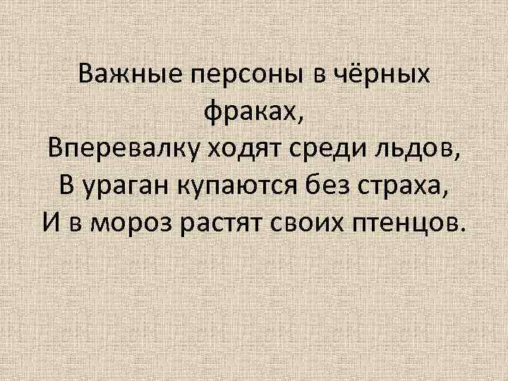 Важные персоны в чёрных фраках, Вперевалку ходят среди льдов, В ураган купаются без страха,