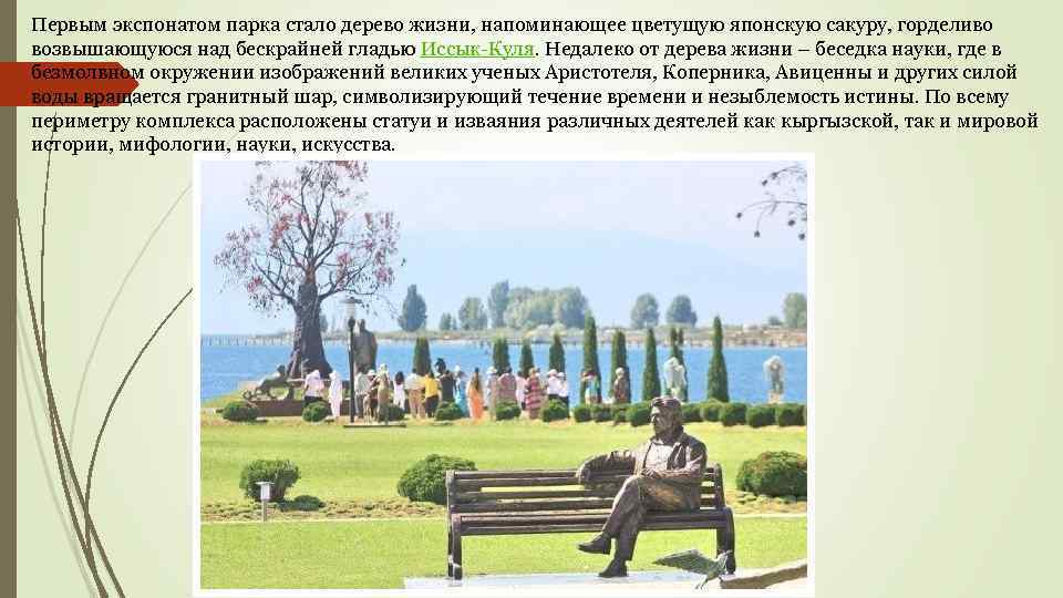 Первым экспонатом парка стало дерево жизни, напоминающее цветущую японскую сакуру, горделиво возвышающуюся над бескрайней