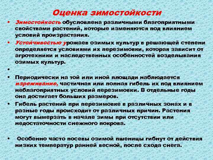 Оценка зимостойкости • Зимостойкость обусловлена различными благоприятными свойствами растений, которые изменяются под влиянием условий