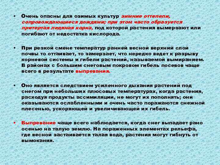  • Очень опасны для озимых культур зимние оттепели, сопровождающиеся дождями; при этом часто