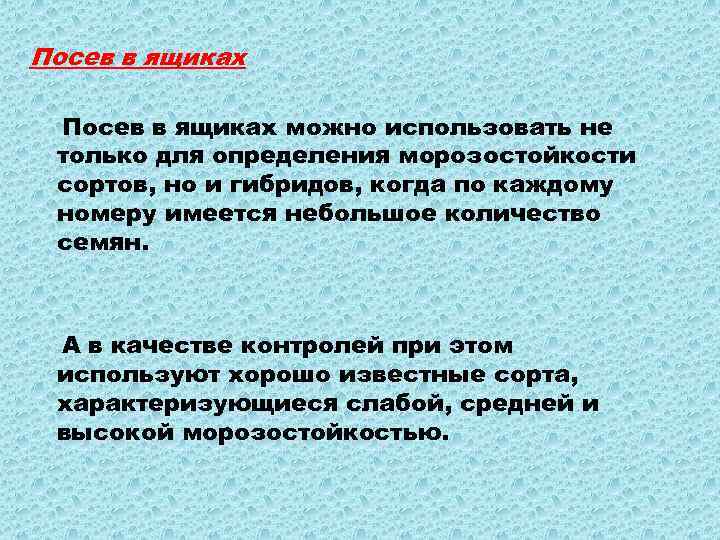 Посев в ящиках можно использовать не только для определения морозостойкости сортов, но и гибридов,