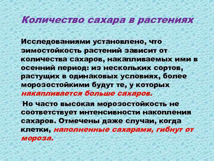 Количество сахара в растениях Исследованиями установлено, что зимостойкость растений зависит от количества сахаров, накапливаемых