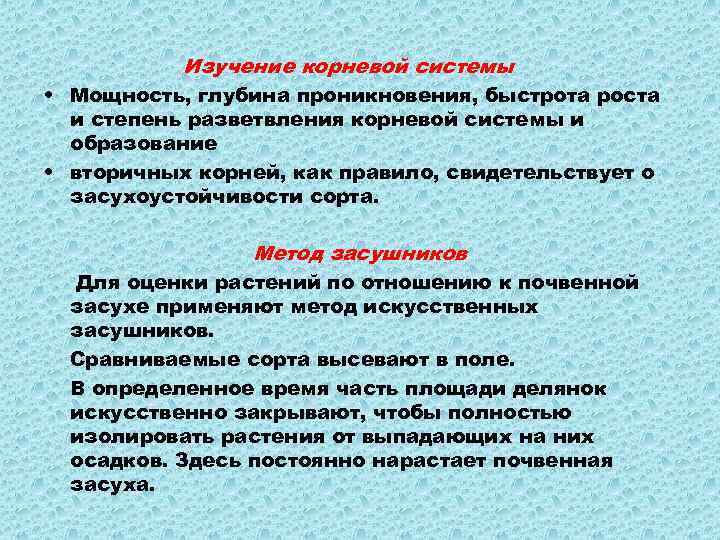 Изучение корневой системы • Мощность, глубина проникновения, быстрота роста и степень разветвления корневой системы