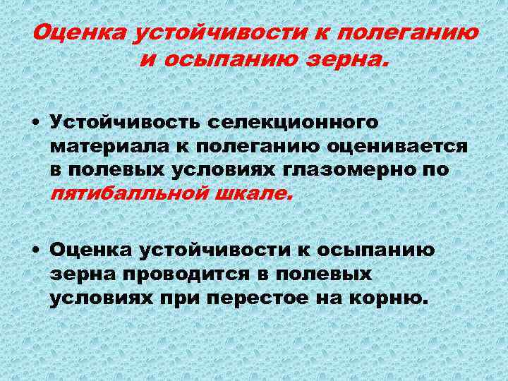 Оценка устойчивости к полеганию и осыпанию зерна. • Устойчивость селекционного материала к полеганию оценивается