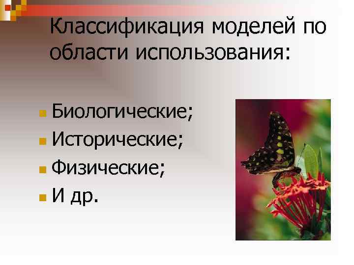 Классификация моделей по области использования: Биологические; n Исторические; n Физические; n И др. n