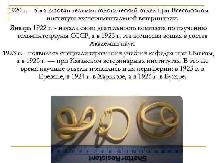 1920 г. - организован гельминтологический отдел при Всесоюзном институте экспериментальной ветеринарии. Январь 1922 г.