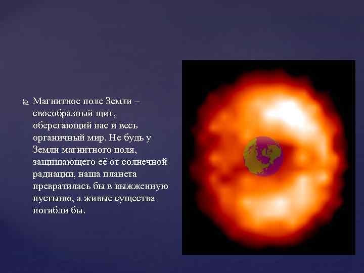  Магнитное поле Земли – своеобразный щит, оберегающий нас и весь органичный мир. Не