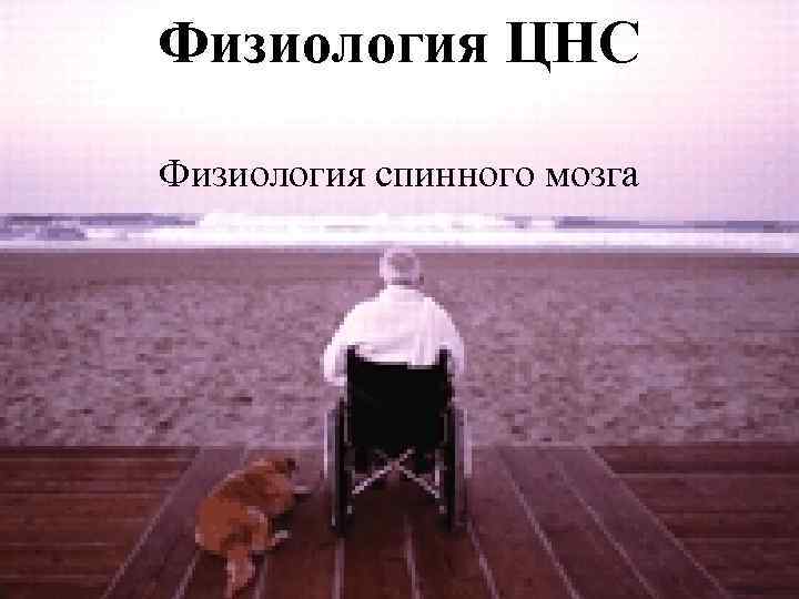 Физиология ЦНС Физиология спинного мозга 