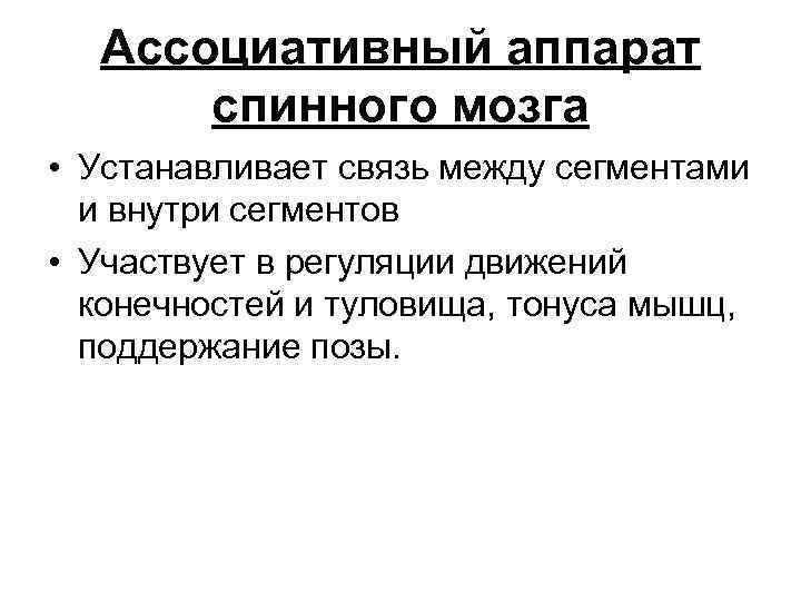 Ассоциативный аппарат спинного мозга • Устанавливает связь между сегментами и внутри сегментов • Участвует