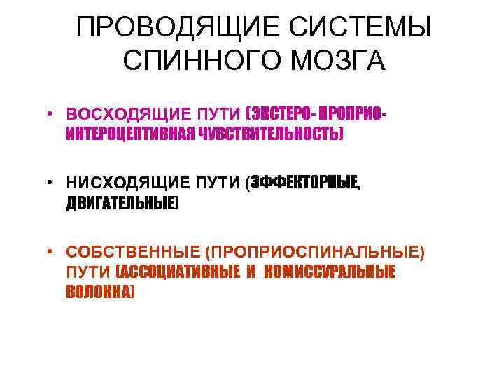 ПРОВОДЯЩИЕ СИСТЕМЫ СПИННОГО МОЗГА • ВОСХОДЯЩИЕ ПУТИ (ЭКСТЕРО- ПРОПРИОИНТЕРОЦЕПТИВНАЯ ЧУВСТВИТЕЛЬНОСТЬ) • НИСХОДЯЩИЕ ПУТИ (ЭФФЕКТОРНЫЕ,