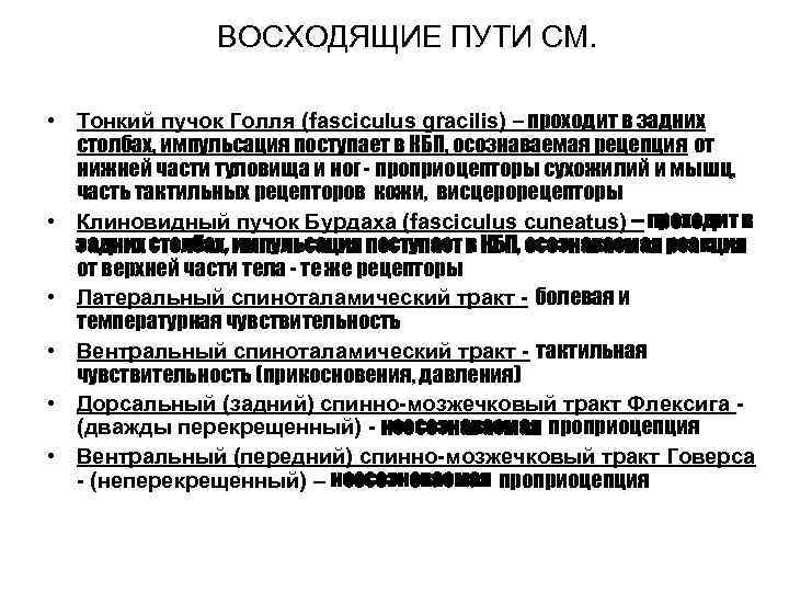 ВОСХОДЯЩИЕ ПУТИ СМ. • Тонкий пучок Голля (fasciculus gracilis) – проходит в задних столбах,