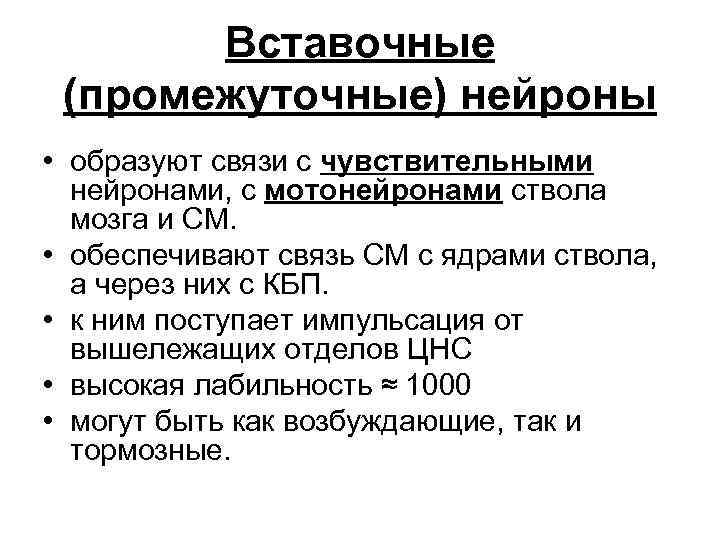 Вставочные (промежуточные) нейроны • образуют связи с чувствительными нейронами, с мотонейронами ствола мозга и