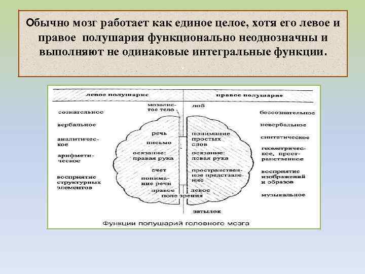 Обычно мозг работает как единое целое, хотя его левое и правое полушария функционально неоднозначны