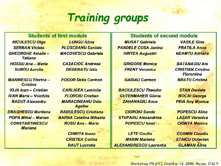 Training groups Workshop P 5 (UT), October 14, 2005, Rome, ITALY 