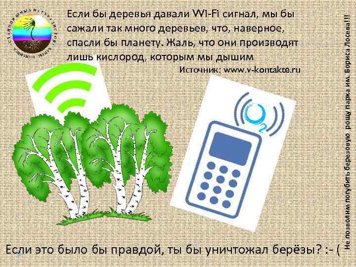 Источник: www. v-kontakte. ru Если это было бы правдой, ты бы уничтожал берёзы? :