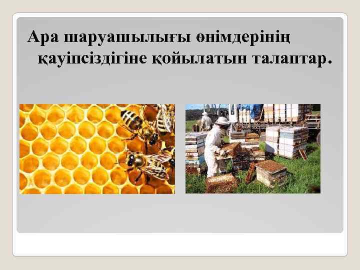 Ара шаруашылығы өнімдерінің қауіпсіздігіне қойылатын талаптар. 
