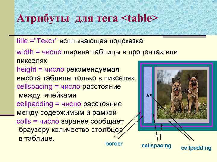 Атрибуты для тега <table> title =“Текст“ всплывающая подсказка width = число ширина таблицы в