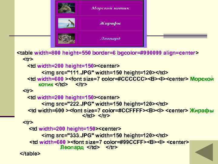 <table width=800 height=550 border=6 bgcolor=#990099 align=center> <td width=200 height=150><center> <img src="111. JPG" width=150 height=120></td>
