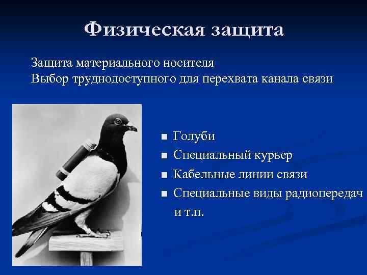 Физическая защита Защита материального носителя Выбор труднодоступного для перехвата канала связи n n Голуби