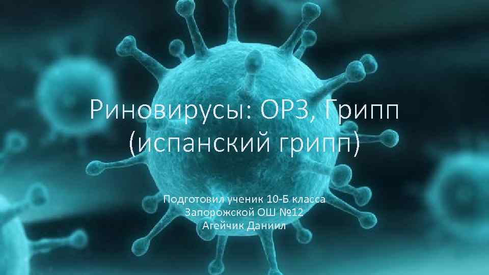 Риновирусы: ОРЗ, Грипп (испанский грипп) Подготовил ученик 10 -Б класса Запорожской ОШ № 12