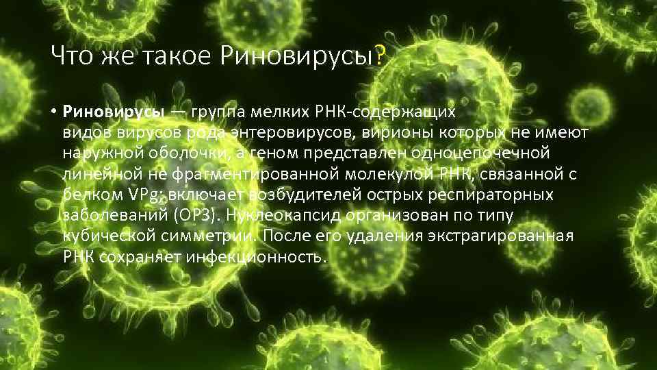 Что же такое Риновирусы? • Риновирусы — группа мелких РНК-содержащих видов вирусов рода энтеровирусов,