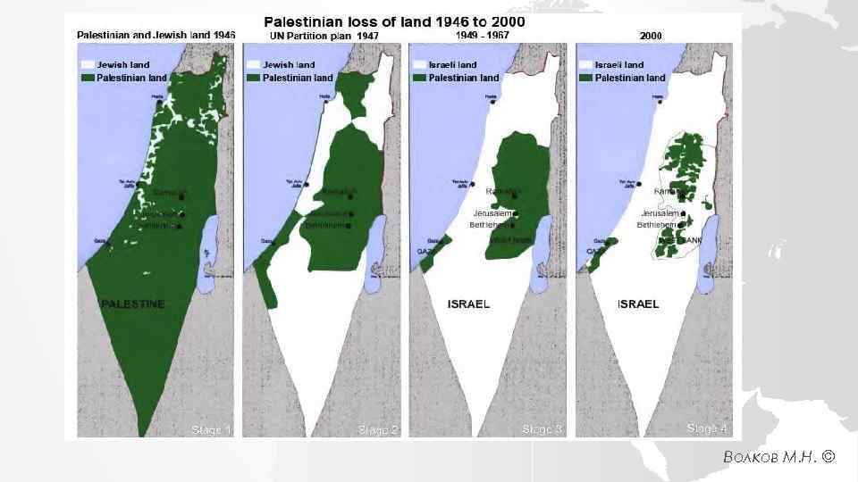 Волков М. Н. © 
