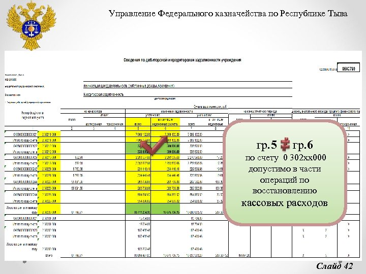 Управление Федерального казначейства по Республике Тыва гр. 5 гр. 6 по счету 0 302