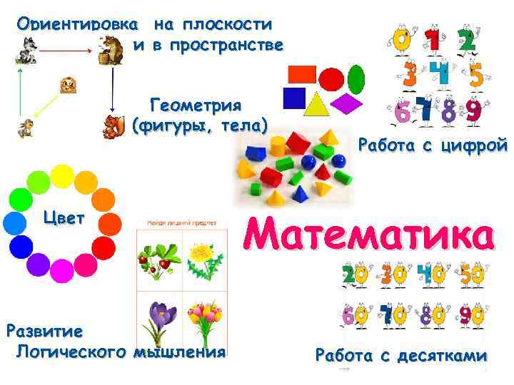 Ориентировка на плоскости и в пространстве Геометрия (фигуры, тела) Цвет Развитие Логического мышления Работа