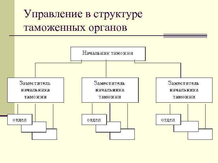 Структура таможенных органов схема