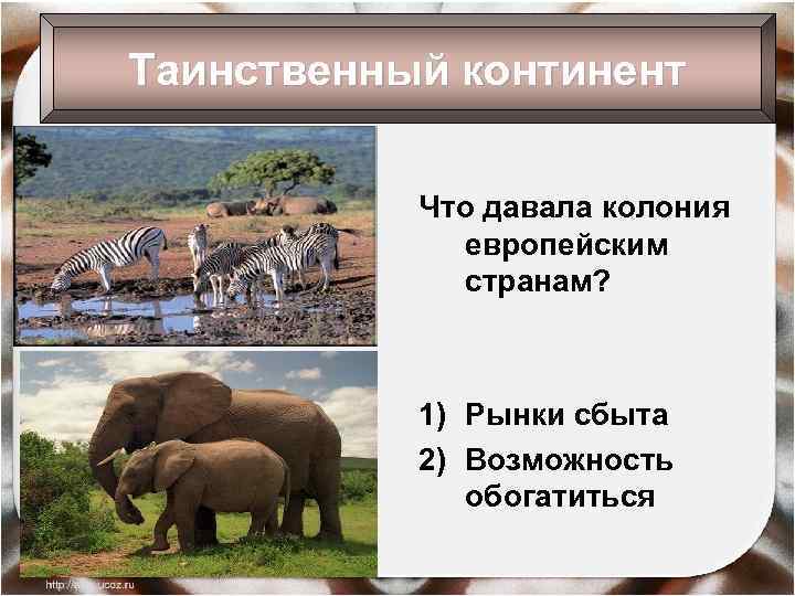 Таинственный континент Что давала колония европейским странам? 1) Рынки сбыта 2) Возможность обогатиться 