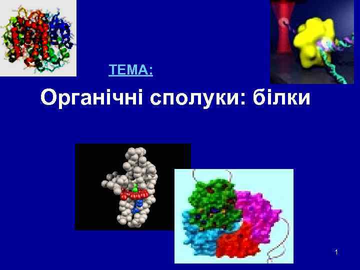 ТЕМА: Органічні сполуки: білки 1 