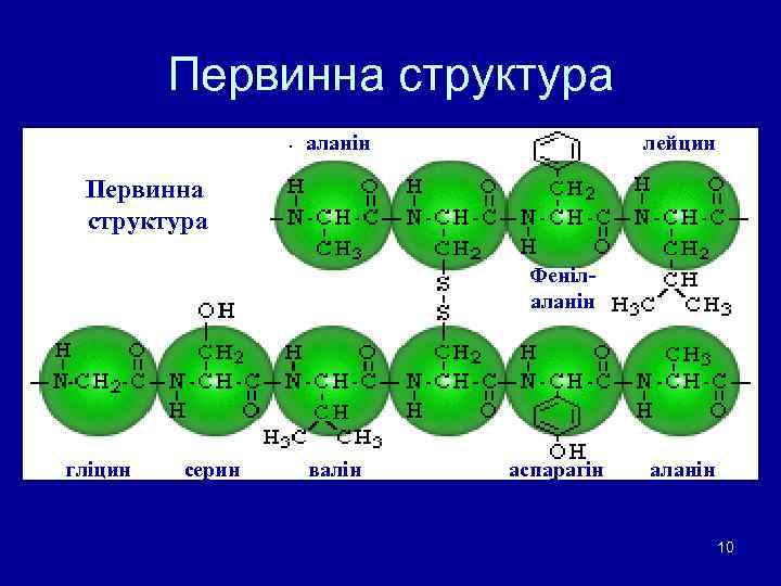 Первинна структура аланін лейцин Первинна структура Фенілаланін гліцин серин валін аспарагін аланін 10 