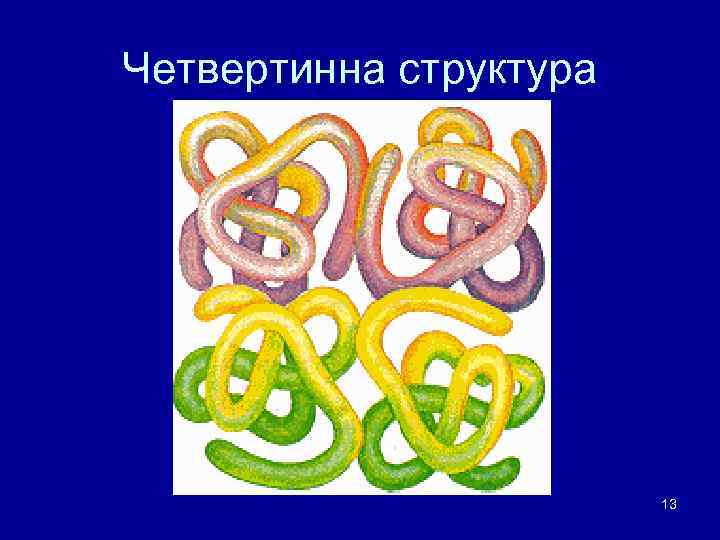 Четвертинна структура 13 