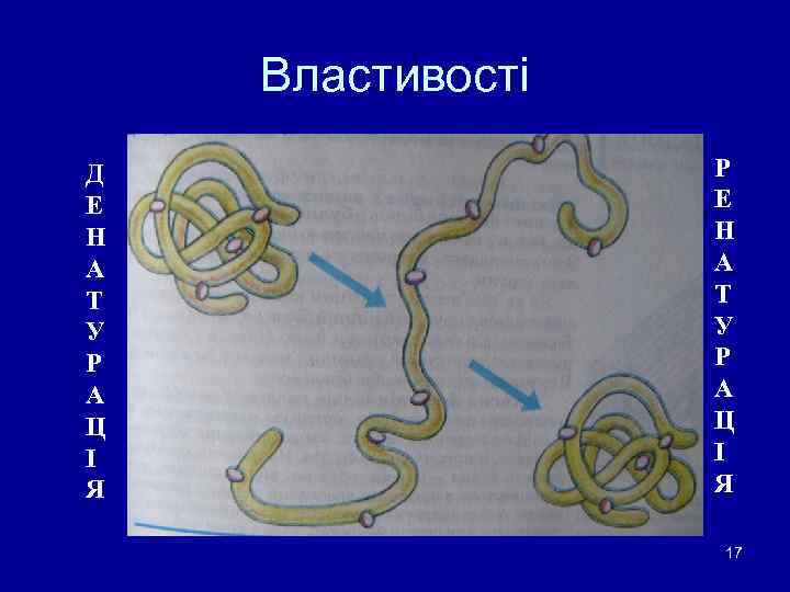 Властивості Д Е Н А Т У Р А Ц І Я Р Е