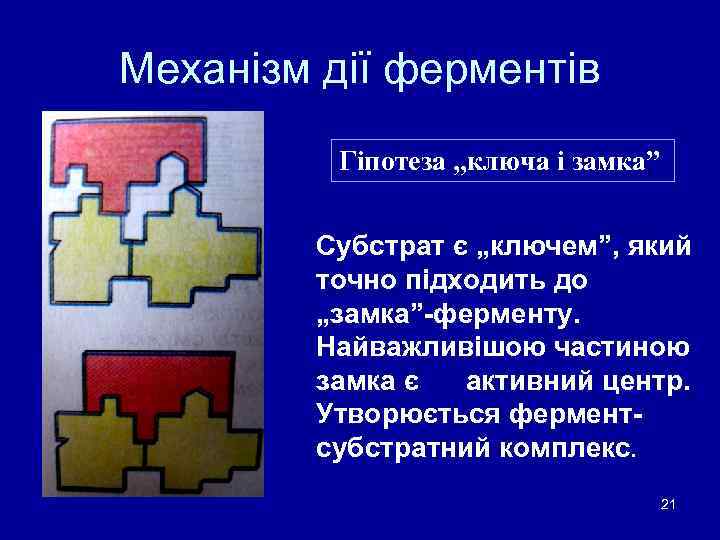 Механізм дії ферментів Гіпотеза „ключа і замка” Субстрат є „ключем”, який точно підходить до