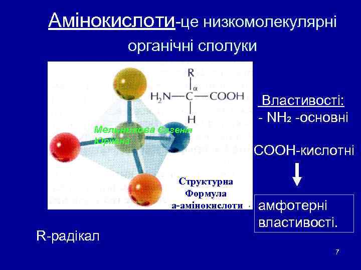 Амінокислоти-це низкомолекулярні органічні сполуки Мельникова Євгенія Юріївна - COOH-кислотні Структурна Формула а-амінокислоти R-радікал Властивості: