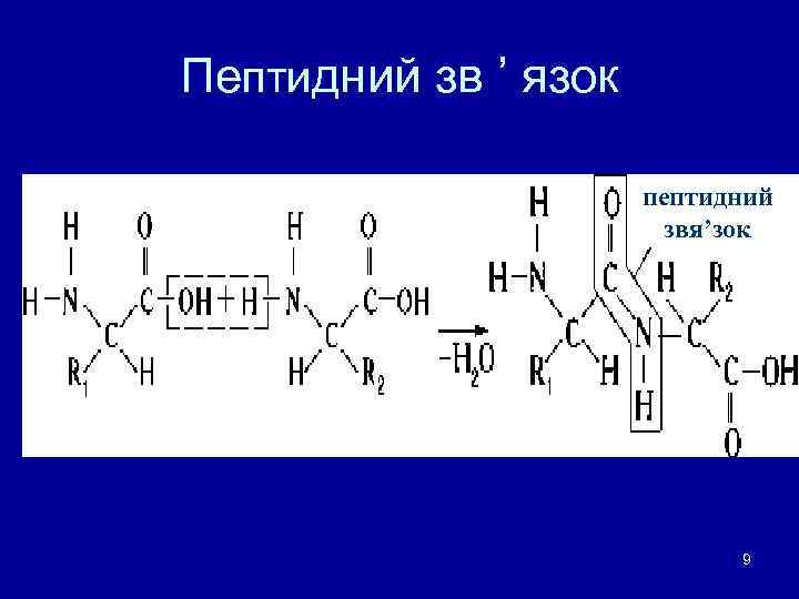 Пептидний зв ’ язок пептидний звя’зок 9 
