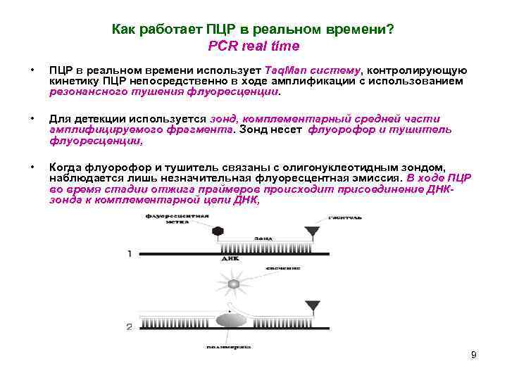 Как работает ПЦР в реальном времени? PCR real time • ПЦР в реальном времени
