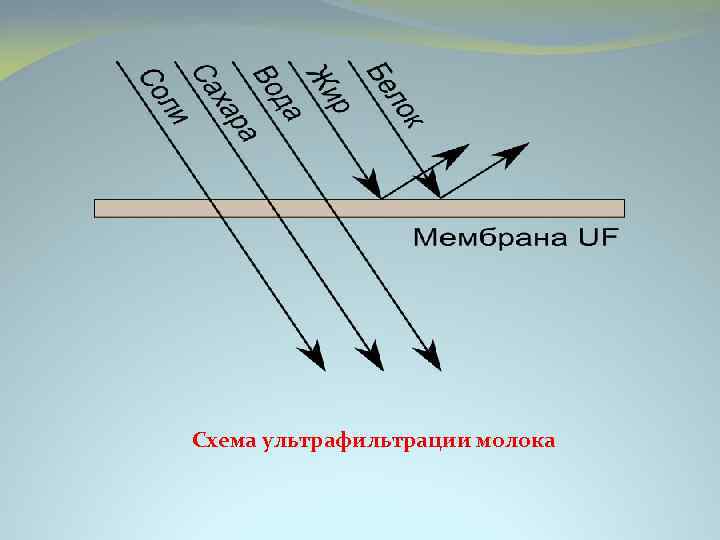 Схема ультрафильтрации молока 