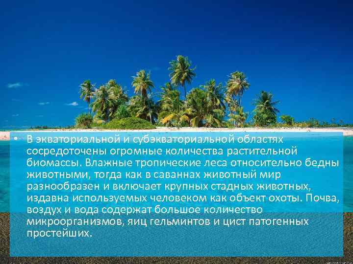  • В экваториальной и субэкваториальной областях сосредоточены огромные количества растительной биомассы. Влажные тропические