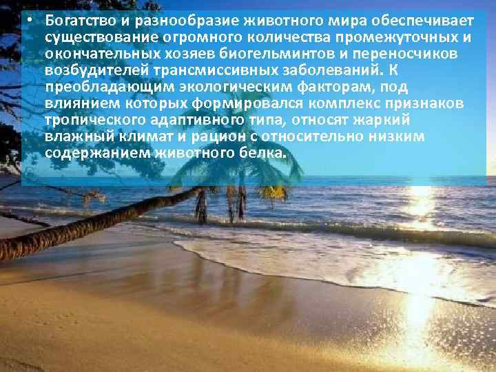  • Богатство и разнообразие животного мира обеспечивает существование огромного количества промежуточных и окончательных