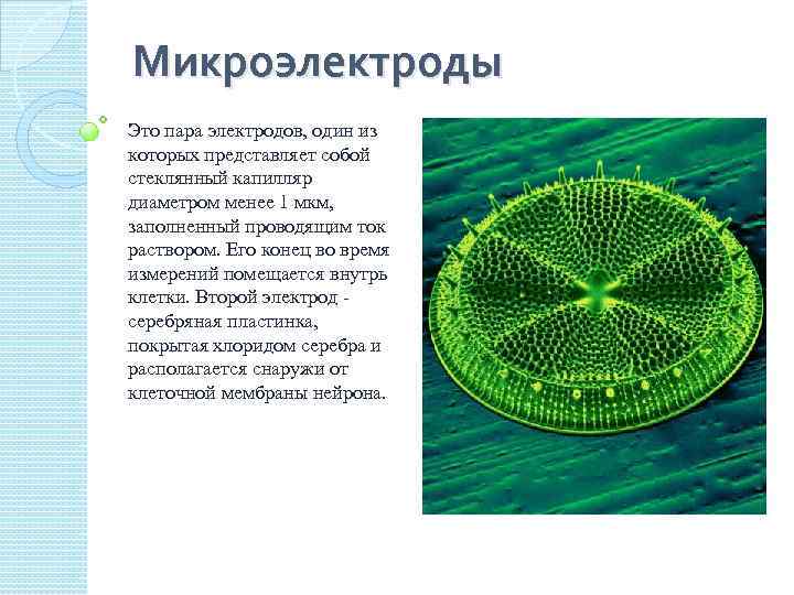 Микроэлектроды Это пара электродов, один из которых представляет собой стеклянный капилляр диаметром менее 1