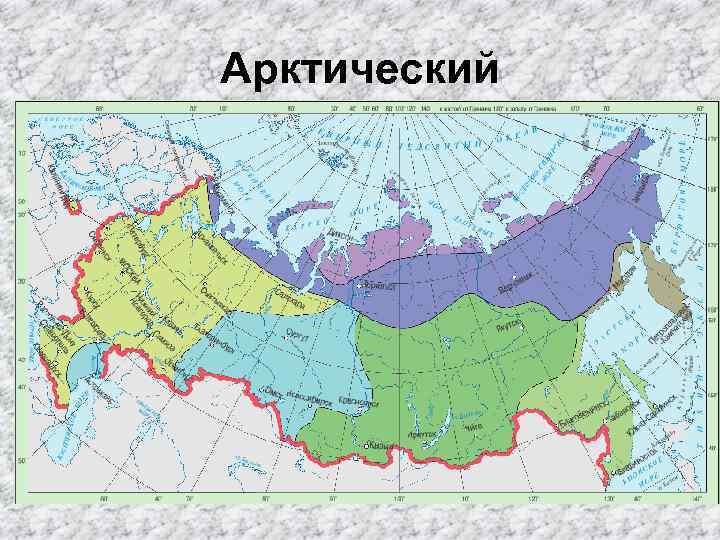 Арктический • Расположен на островах Северного Ледовитого океана и на участках побережья от полуострова