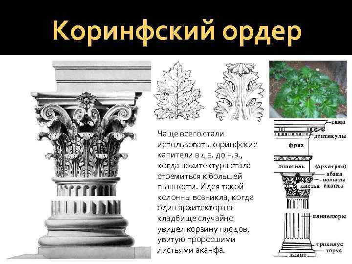 Повар олег коринфский подробное описание салатов