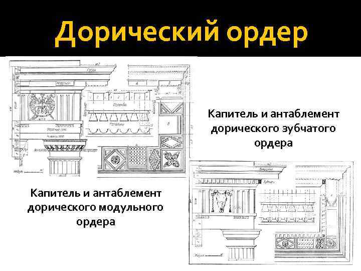 Дорический ордер Капитель и антаблемент дорического зубчатого ордера Капитель и антаблемент дорического модульного ордера